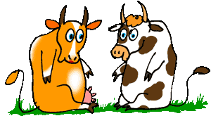 Vaches